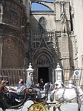 Catedral In Sevilla 4